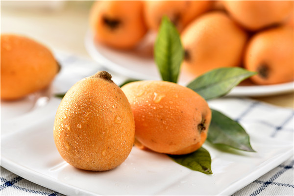 枇杷1.jpg 枇杷1.jpg