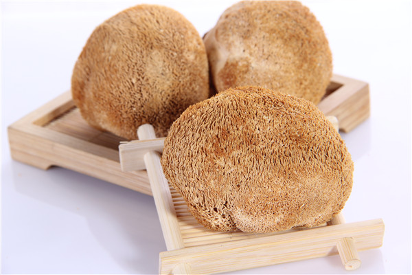 4.猴頭菇2.jpg 4.猴頭菇2.jpg