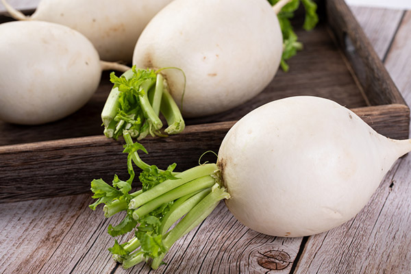 白蘿卜1.jpg