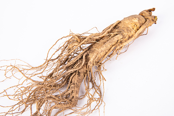 人參.jpg 人參.jpg