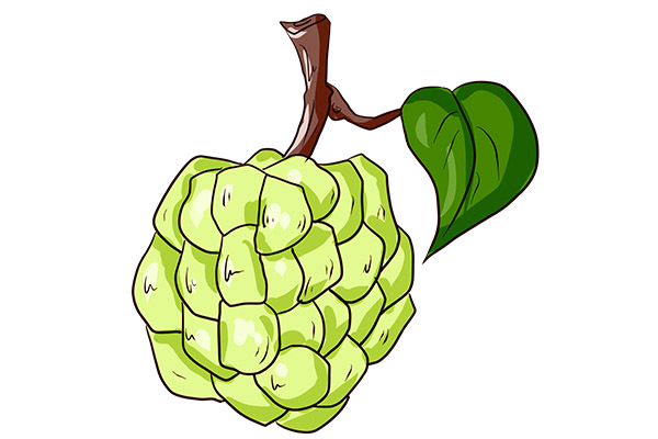 釋迦果1.jpg 釋迦果1.jpg