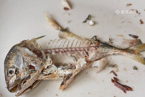 魚刺1.jpg 魚刺1.jpg