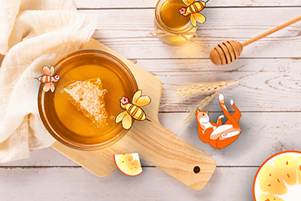 蜂膠.gif 蜂膠.gif